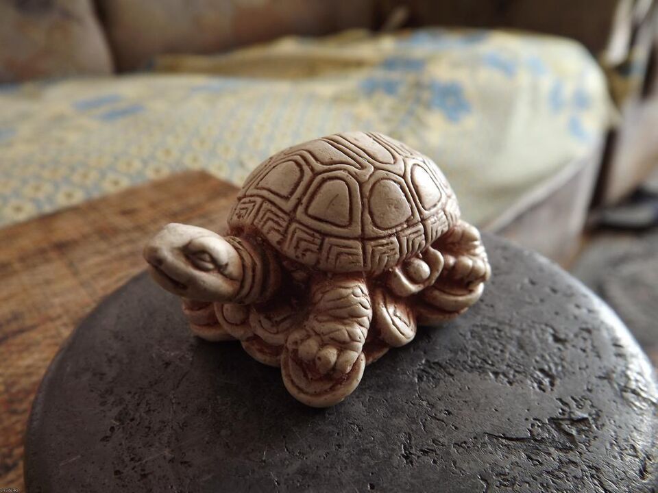 figura de tortuga como amuleto de buena suerte